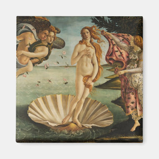 De geboorte van Venus Magneet