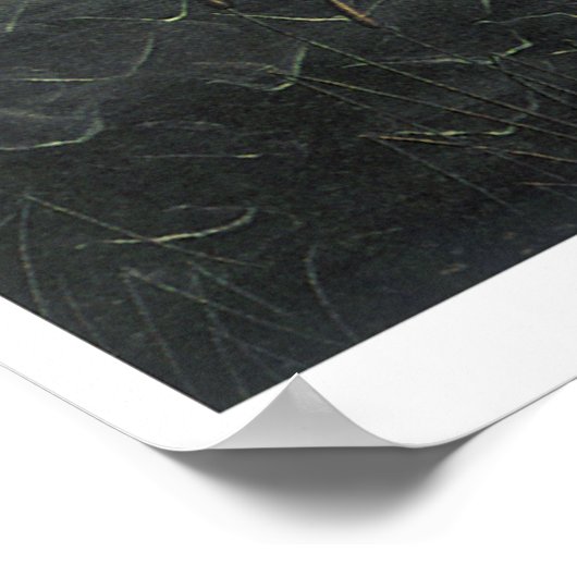 De geboorte van Venus Poster (Hoek)