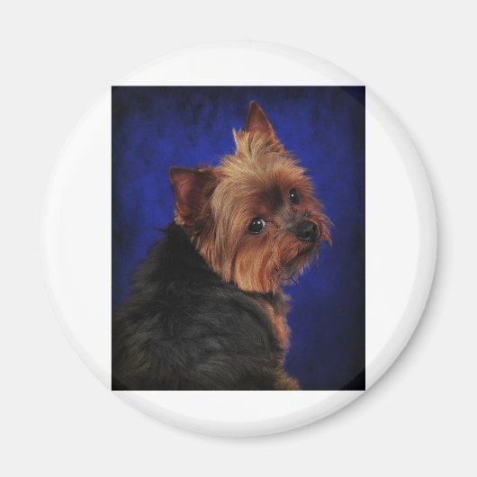 De gebruiker magneet (Voorkant)