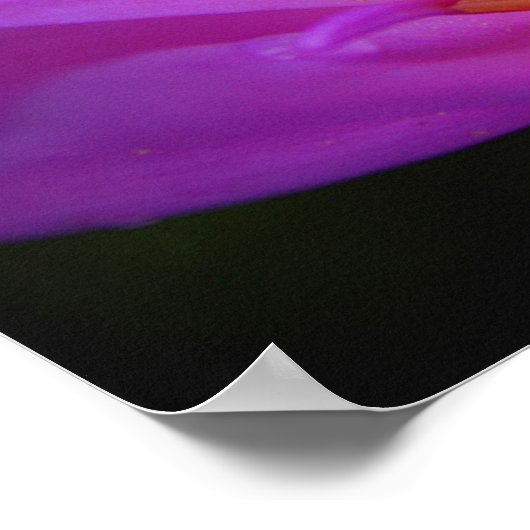 De gebruiker poster (Hoek)