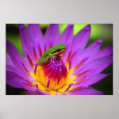 De gebruiker poster (Voorkant)