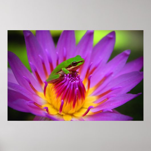 De gebruiker poster (Voorkant)