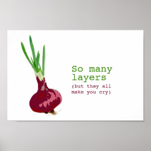 De gecompliceerde ui poster