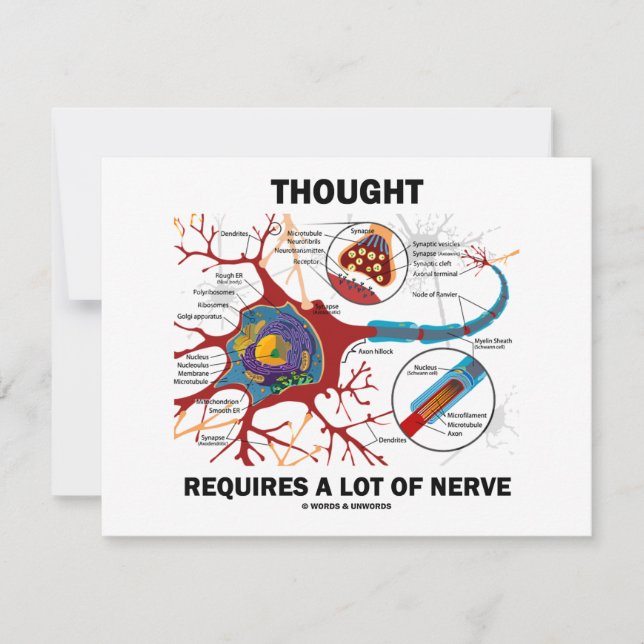 De gedachte vereist veel zenuw (synapse) (Voorkant)