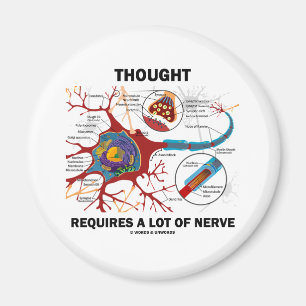 De gedachte vereist veel zenuw (synapse) magneet
