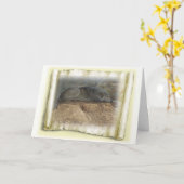 De Gedachten van de wolf Kaart (Gele Bloem)