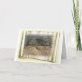 De Gedachten van de wolf Kaart (Voorkant)