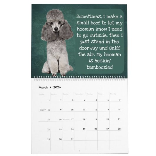 De gedachten van mijn poolkalender kalender (Mar 2026)