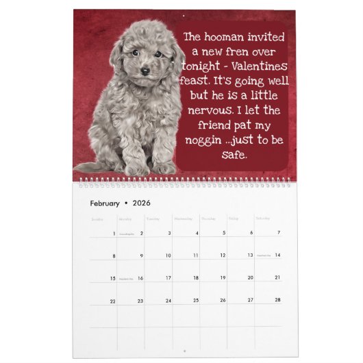 De gedachten van mijn poolkalender kalender (Feb 2026)