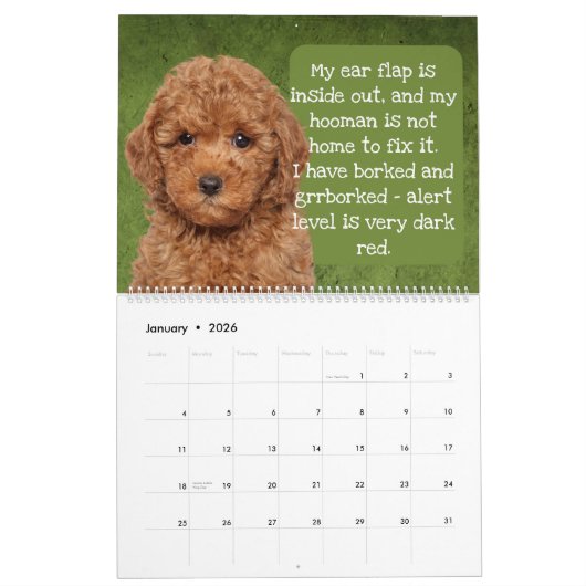 De gedachten van mijn poolkalender kalender (Jan 2026)