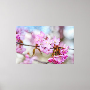 De Gedempte Schoonheid Van Kersenbloesems In De Le Canvas Afdruk