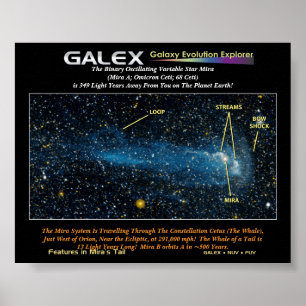 De gedetailleerde sterrenmaa met staart, de Binair Poster