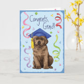 De Gediplomeerde van het Laboratorium van de Kaart (Gele Bloem)