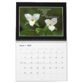De geest van de kalender van Natuur 2017 door Tom (Mar 2027)
