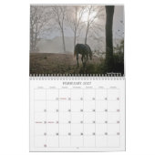 De geest van het paard kalender (Feb 2027)