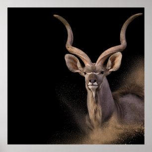 De geest van Kudu Poster