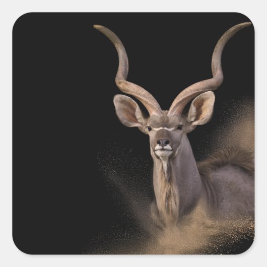 De geest van Kudu Vierkante Sticker (Voorkant)