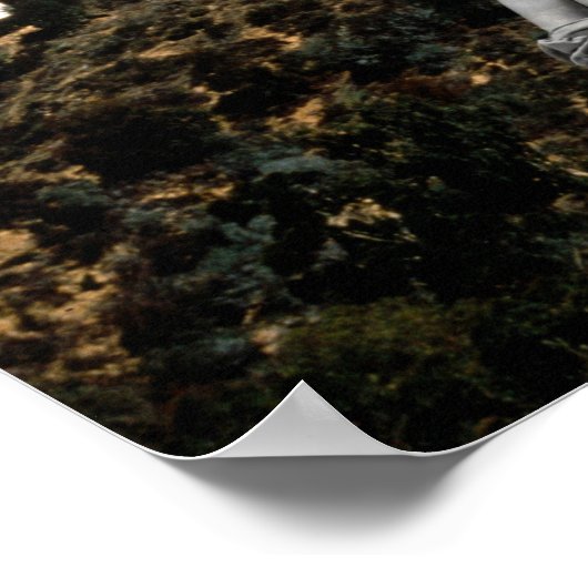 De geesten van Hollywood Poster (Hoek)