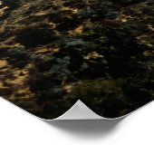 De geesten van Hollywood Poster (Hoek)