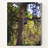 De gehakte boom.... notitieboek (Achterkant)