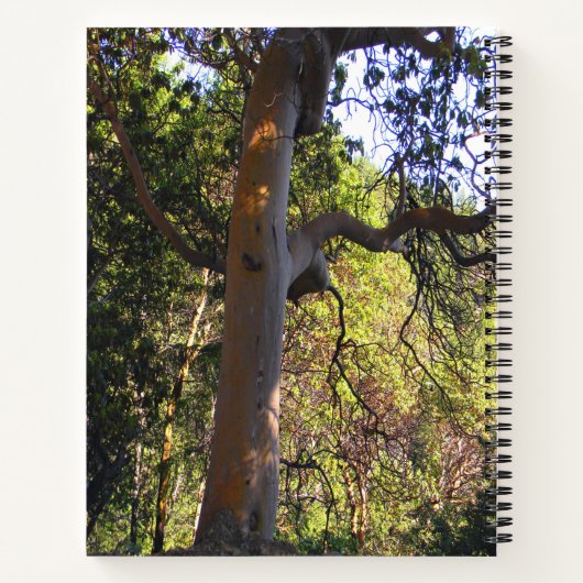 De gehakte boom.... notitieboek (Achterkant)