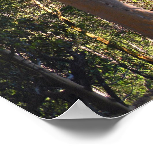 De gehakte boom..... poster (Hoek)