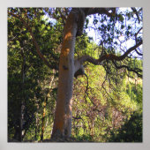 De gehakte boom..... poster (Voorkant)