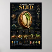 De Geheime Architectuur van Kieming Poster (Voorkant)
