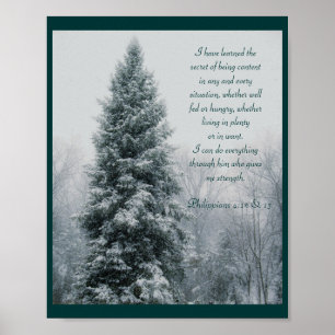 De geheime Christelijke winterscène Poster