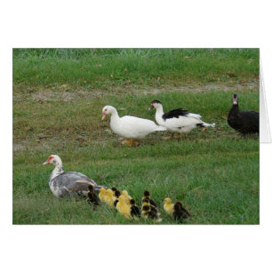 De gehele familie