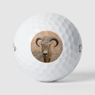 De Geit Golfballen - Voeg Je Foto Toe