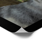 De geit heeft poster gesproken (Hoek)