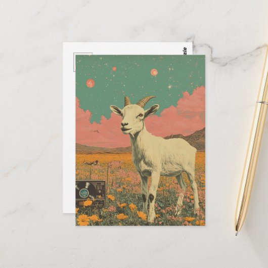 De Geit in de Weide Briefkaart (Voorkant / Achterkant in situ)