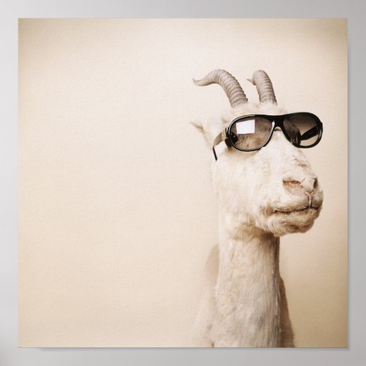 De geit poster (Voorkant)