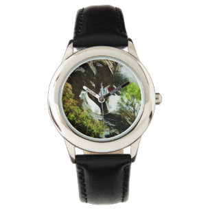 De Geit van de berg en de Samenvatting van het Horloge