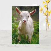 De Geit van het kind Kaart (Gele Bloem)