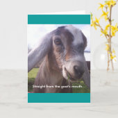 De Geit van Nubian Kaart (Gele Bloem)