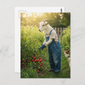 De geitenhovenier briefkaart (Voorkant / Achterkant)