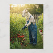 De geitenhovenier briefkaart (Voorkant)