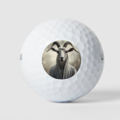 De geitenschaapskooi, golfballen (Voorkant)