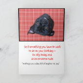 De gekke hond Buggs, past om het even welke Kaart (Binnen)