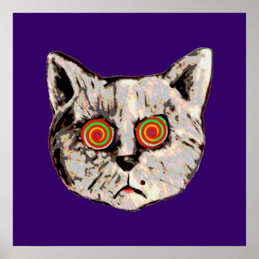 de gekke kat poster (Voorkant)