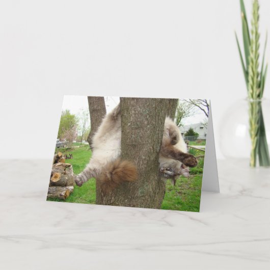 DE GEKKE VALENTIJNSE KAART VAN DE KAT (Voorkant)