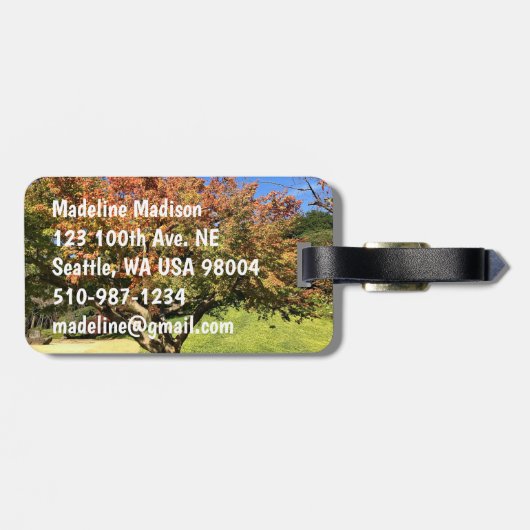 De gekleurde Maple-structuur in het najaar Bagagelabel (Achterkant horizontaal)