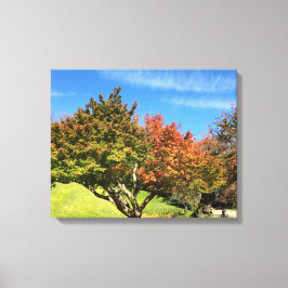 De gekleurde Maple-structuur in het najaar Canvas Afdruk