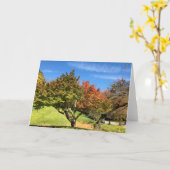 De gekleurde Maple-structuur in het najaar Kaart (Gele Bloem)