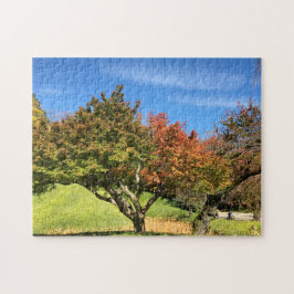 De gekleurde Maple-structuur in het najaar Legpuzzel