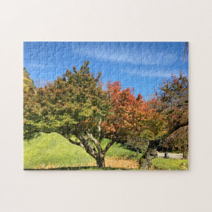 De gekleurde Maple-structuur in het najaar Legpuzzel