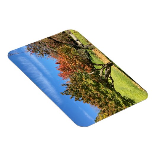 De gekleurde Maple-structuur in het najaar Magneet (Rechterzijde)