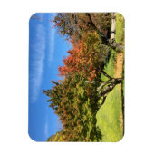 De gekleurde Maple-structuur in het najaar Magneet (Verticaal)